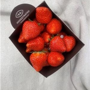 AARDBEIEN BELG.I