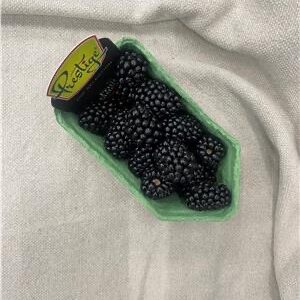BRAAMBESSEN 125G